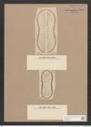 Surirella patens A. Schm. (de-Toni-Nr.: Genus 53, Species 2401) Zeichnungen Sammlung Grunow Nr. 4807 (NHMW-BOT-W0372959)